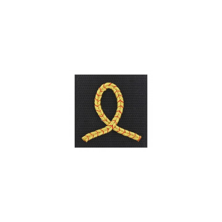 Grade Élève Officier en tissu 5 x 5 cm - Insigne de grade pour les élèves officiers