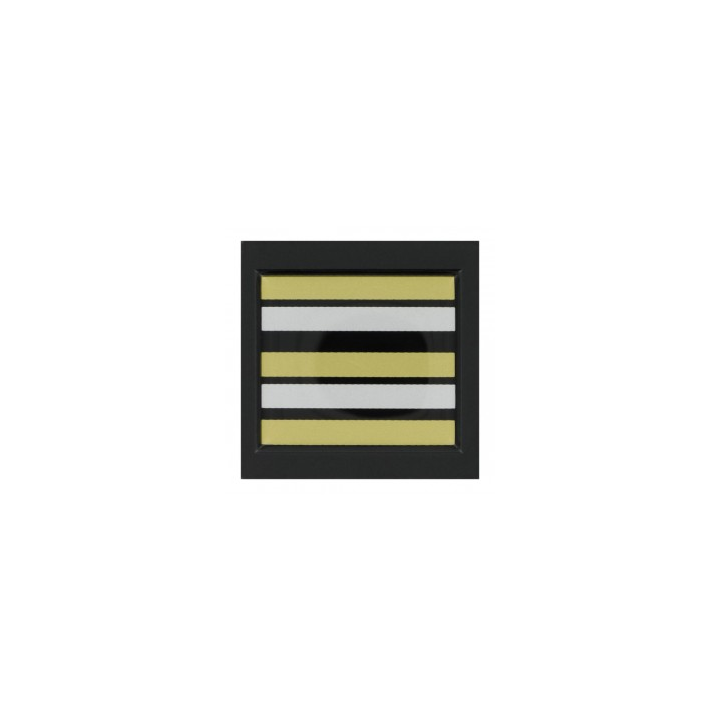 Grade 5 x 5 cm RESINE LIEUTENANT COLONEL MOBILE