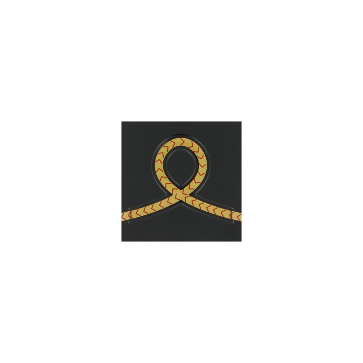 Grade 5 x 5 cm RESINE ELEVE OFFICIER