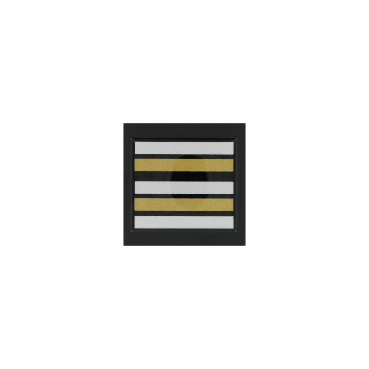 Grade 5 x 5 cm Résine Lieutenant Colonel - Achetez votre grade de Lieutenant Colonel en résine de haute qualité