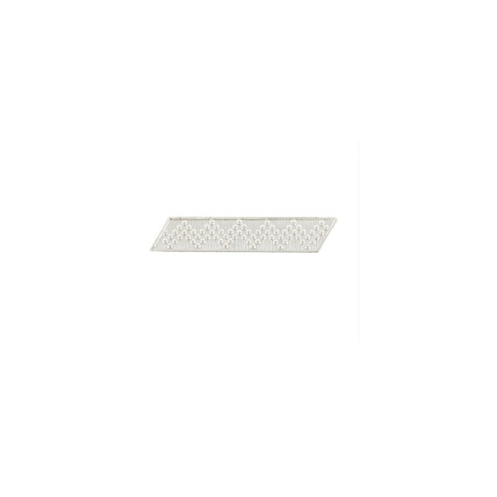 grade calot métal GARDE CHAMPETRE STAGIAIRE
