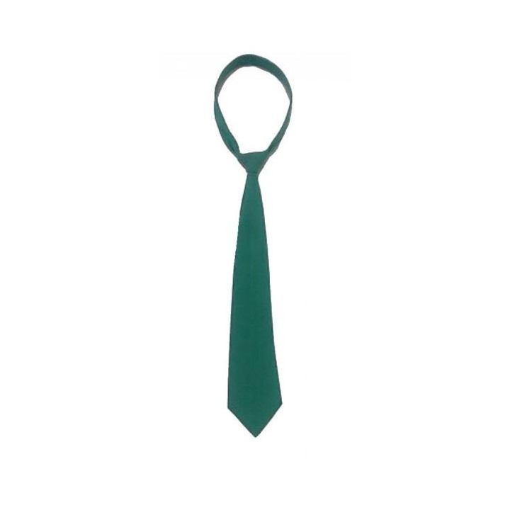 Cravate verte