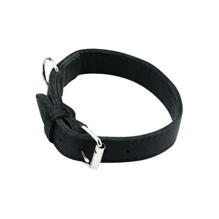 Collier en cuir 50 mm - Accessoire de qualité pour votre chien