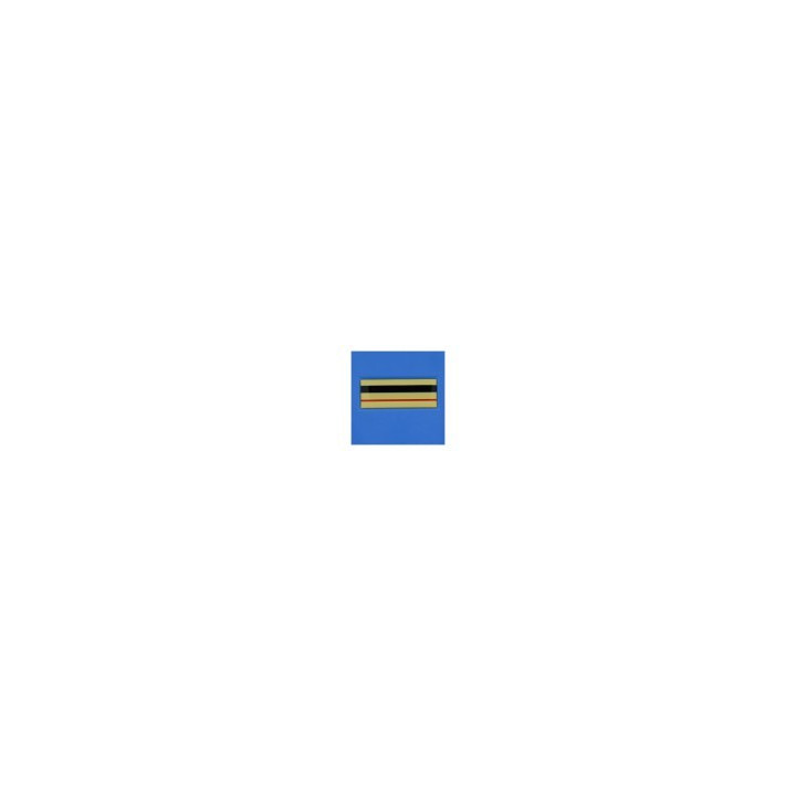 Grade Résine- BRIGADIER CHEF PRINCIPAL