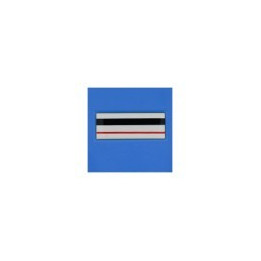 Grade Résine - CHEF DE POLICE