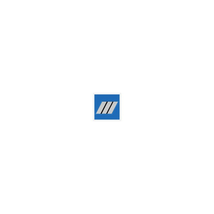 Grade Résine - Gardien Principal | Écusson d'identification PM
