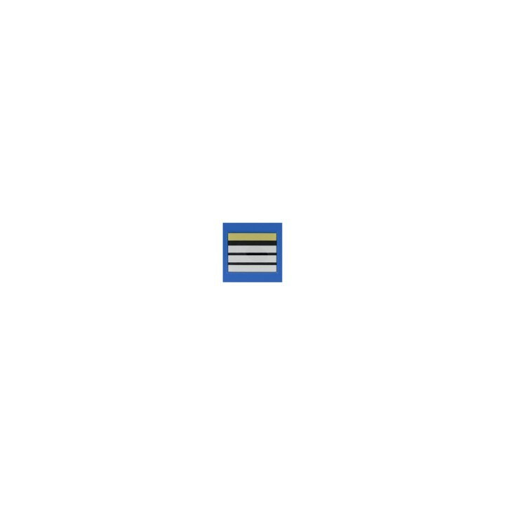 GRADE SOUPLE PM - DIRECTEUR STAGIAIRE