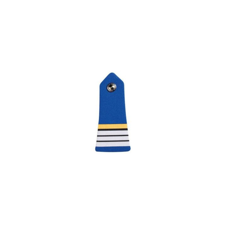 PATTES D'EPAULES PM - DIRECTEUR STAGIAIRE