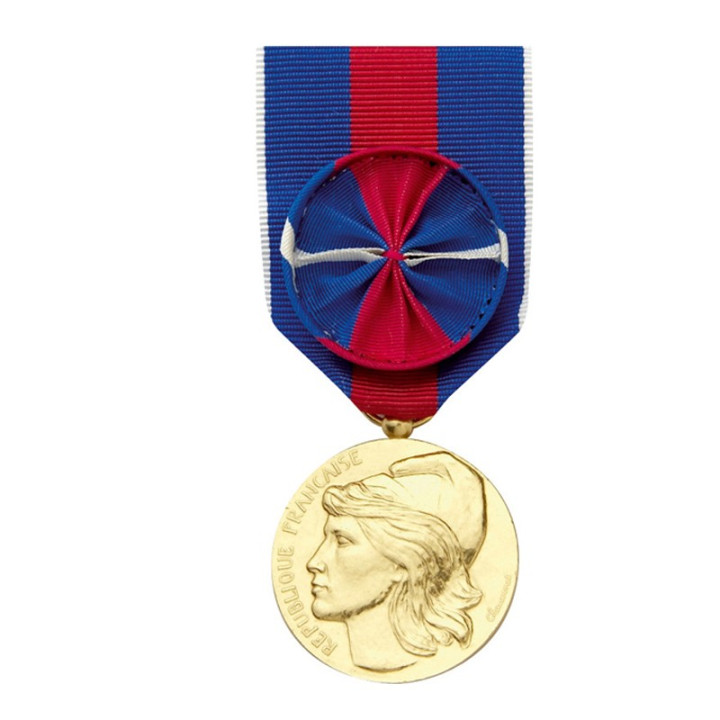 Médaille Service Militaire Volontaire Bronze Doré avec Rosette