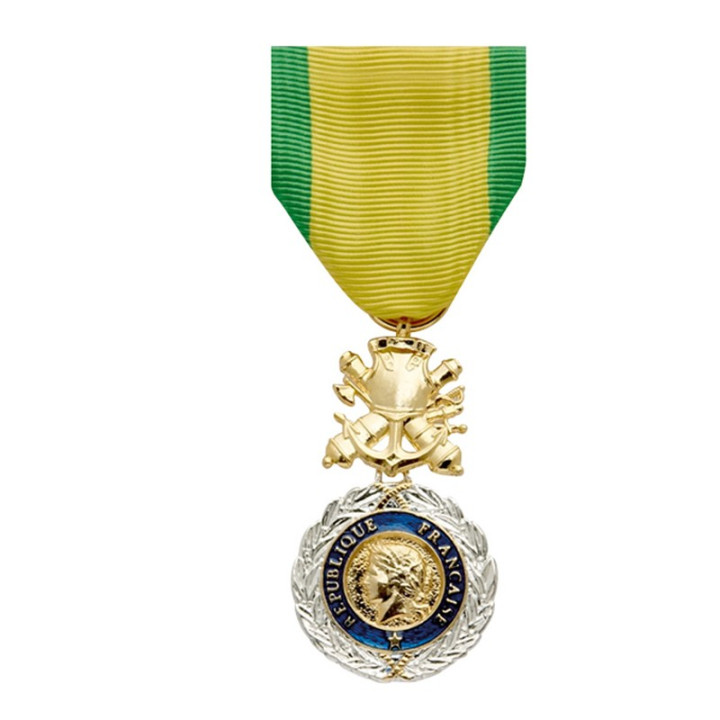 Médaille Militaire Bronze - Histoire, Signification et Récompenses
