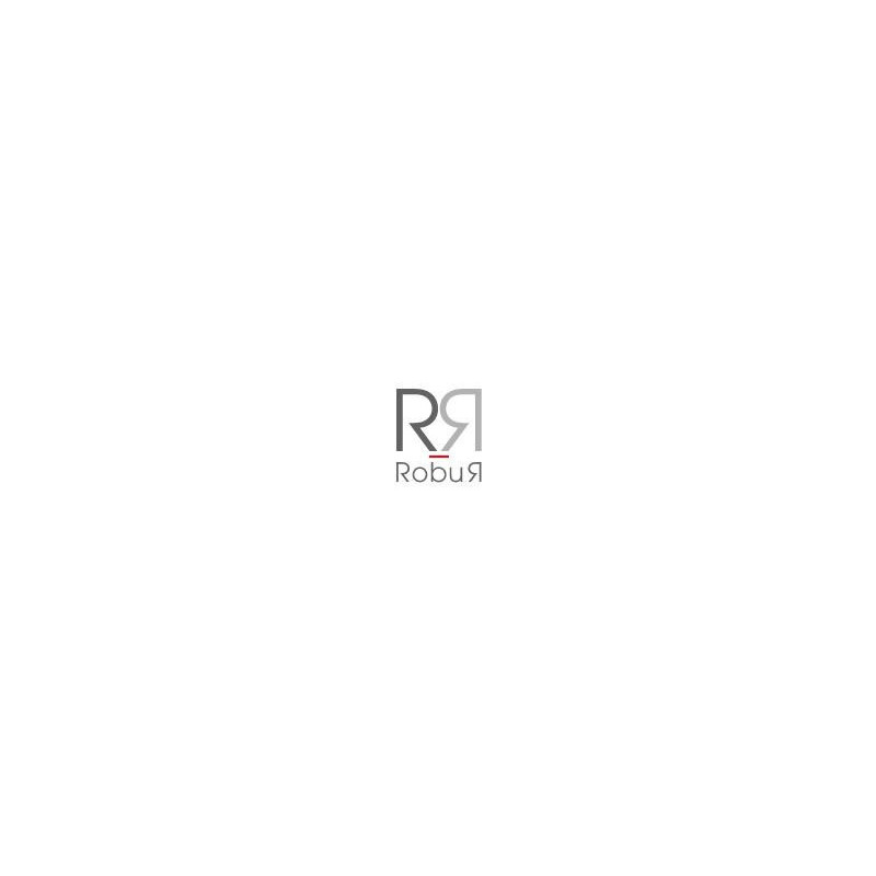 ROBUR